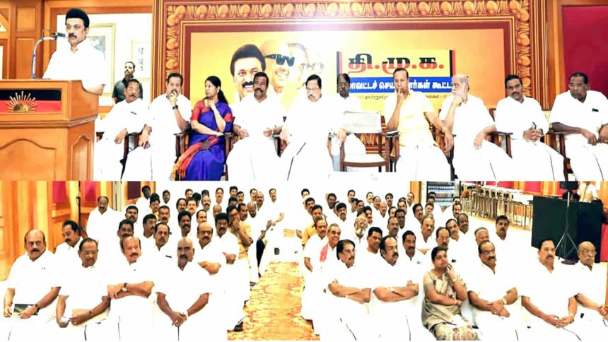 அரசு, தமிழ்நாடு
