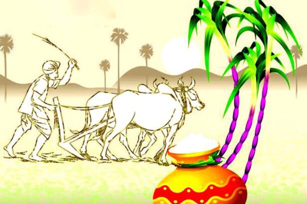 ஞாயிறு மலர்