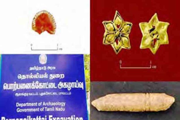 தமிழ்நாடு