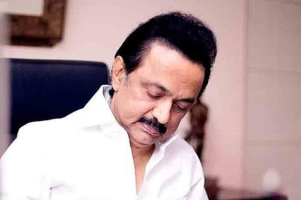 முதலமைச்சர் மு.க. ஸ்டாலின்