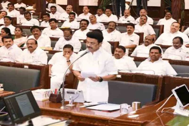 அரசு, தமிழ்நாடு