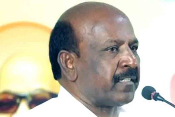 அரசு, தமிழ்நாடு