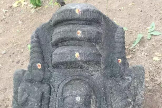 தமிழ்நாடு