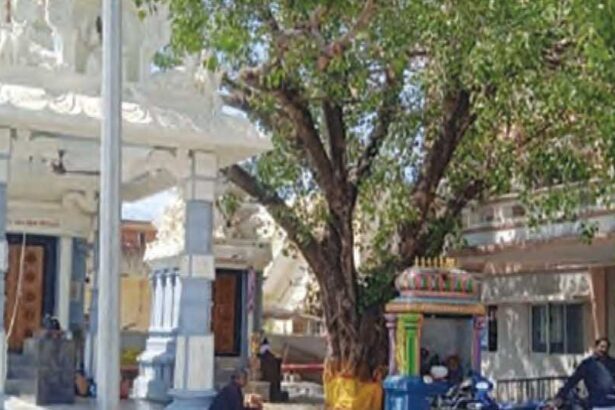 ஆசிரியர் அறிக்கை