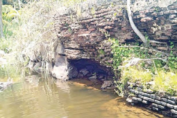 தமிழ்நாடு
