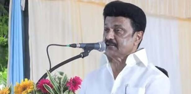 அரசு, தமிழ்நாடு