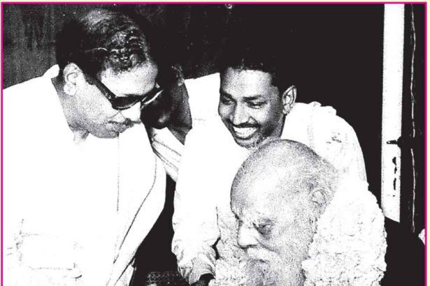 ஞாயிறு மலர்