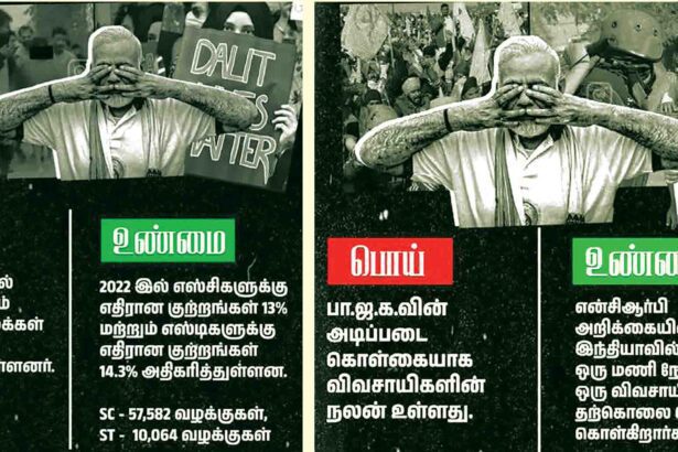 ஞாயிறு மலர்