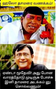 ஞாயிறு மலர்