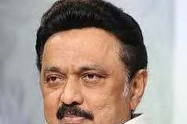 அரசு, தமிழ்நாடு
