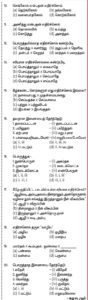 தமிழ்நாடு, திராவிடர் கழகம்
