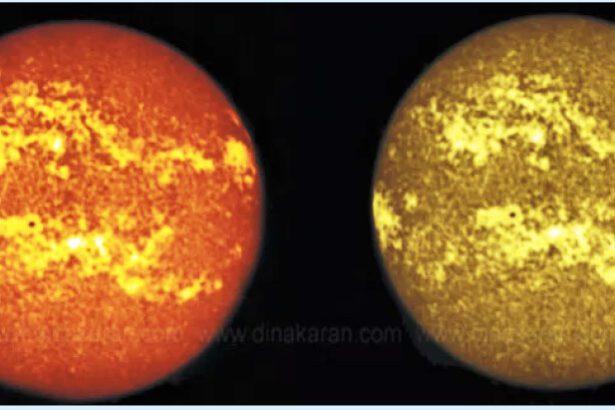 அறிவியல்