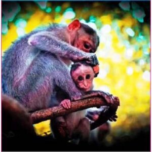 மகளிர் அரங்கம்
