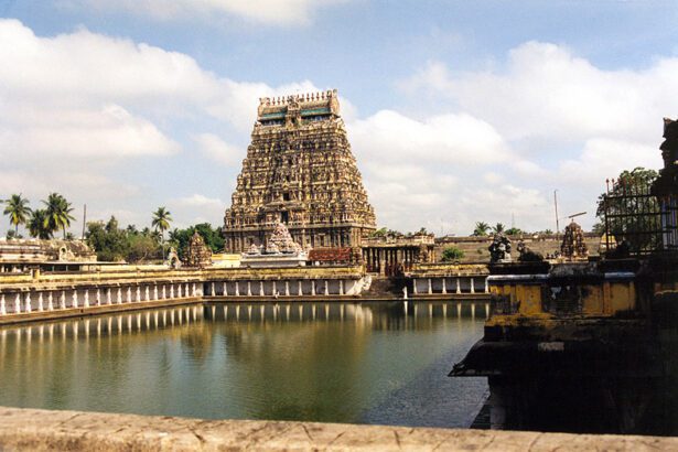 சிதம்பரம் நடராஜர்