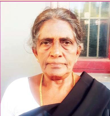ஞாயிறு மலர்