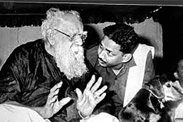 ஞாயிறு மலர்