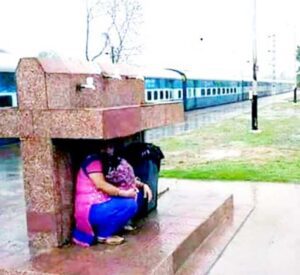 ஞாயிறு மலர்