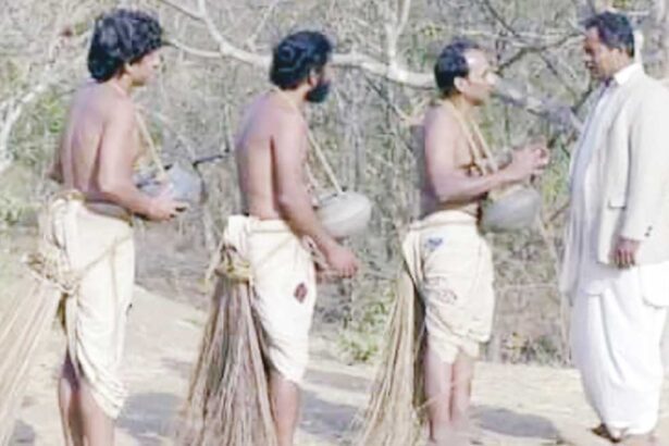 ஞாயிறு மலர்