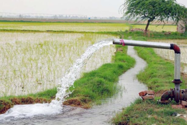 தமிழ்நாடு