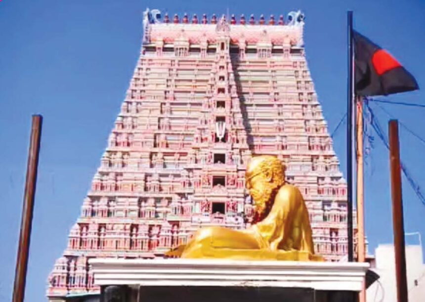கட்டுரை, ஞாயிறு மலர்