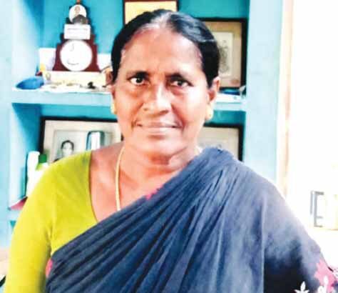 ஞாயிறு மலர்