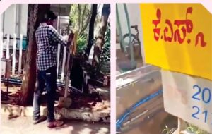 ஞாயிறு மலர்