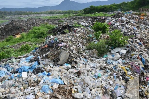 தமிழ்நாடு