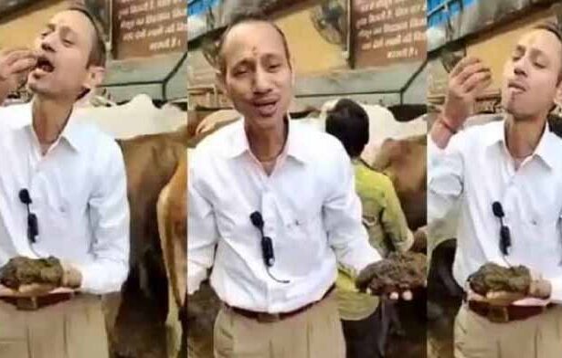 ஞாயிறு மலர்