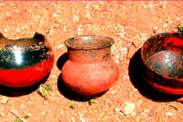 ஞாயிறு மலர்
