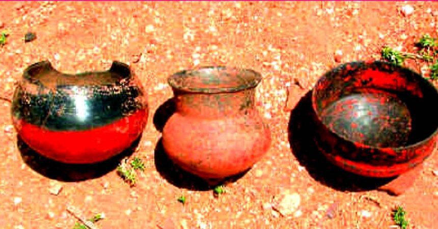 ஞாயிறு மலர்