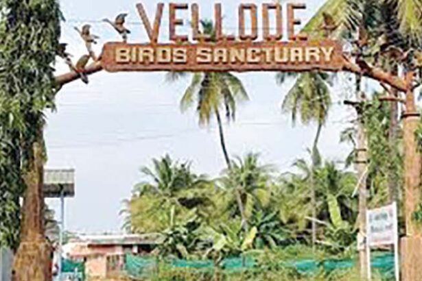 ஈரோடு