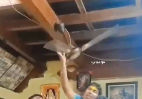 ஞாயிறு மலர்