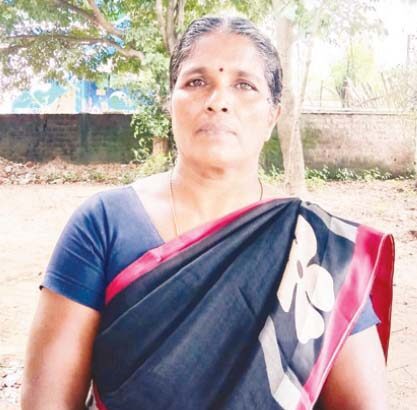 கட்டுரை, ஞாயிறு மலர்