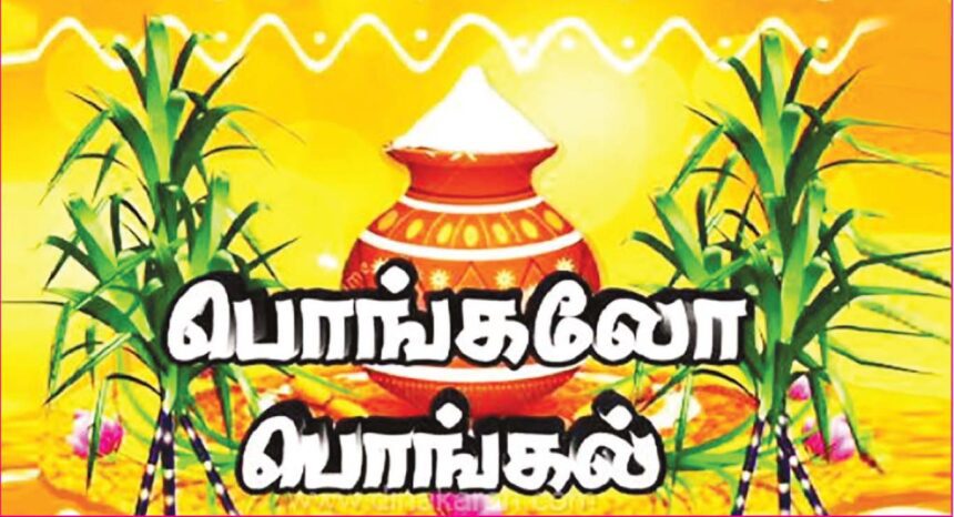 கட்டுரை, ஞாயிறு மலர்