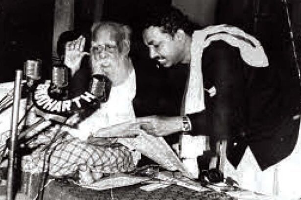கட்டுரை, ஞாயிறு மலர்