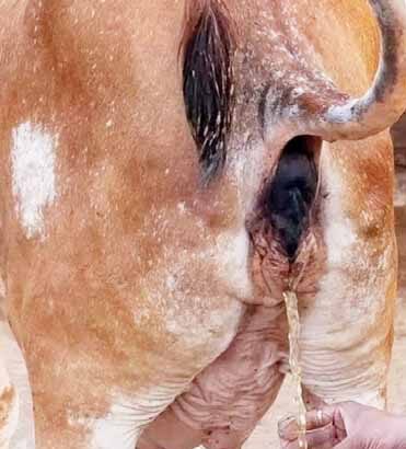 சிறப்புக் கட்டுரை