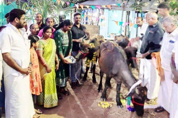 திராவிடர் கழகம்