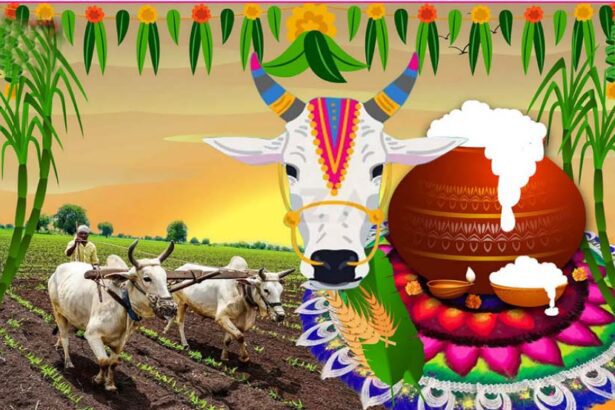 கட்டுரை, ஞாயிறு மலர்