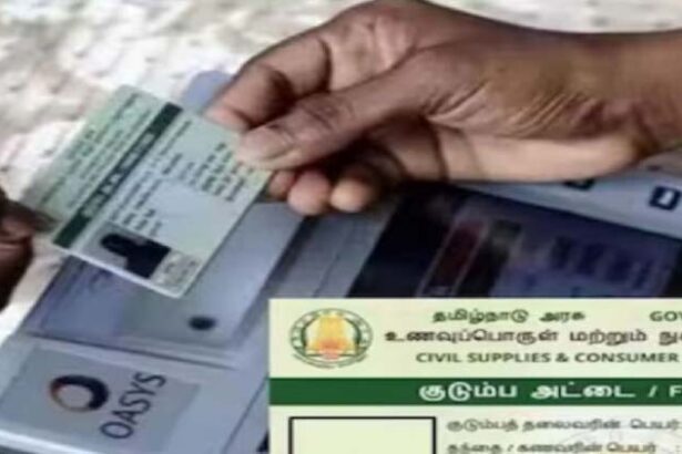 அரிசி