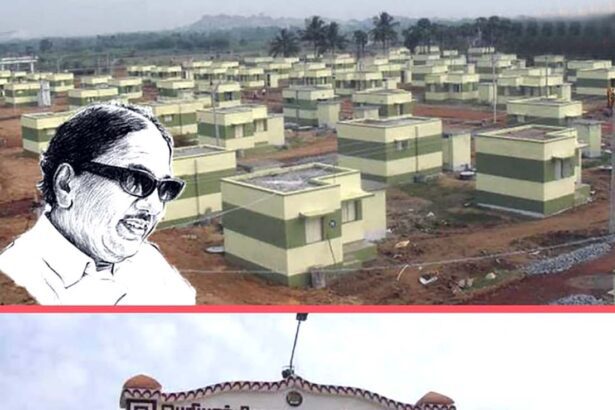 ஞாயிறு மலர்