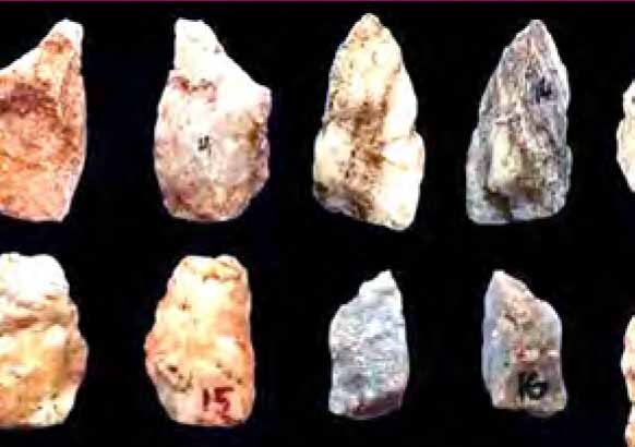 தமிழ்நாடு