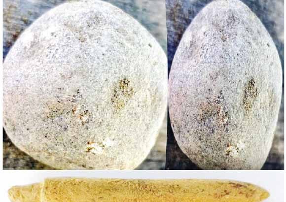 தமிழ்நாடு