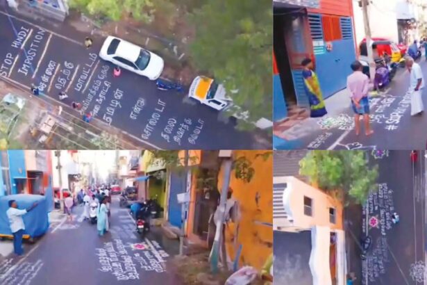கட்டுரை, ஞாயிறு மலர்