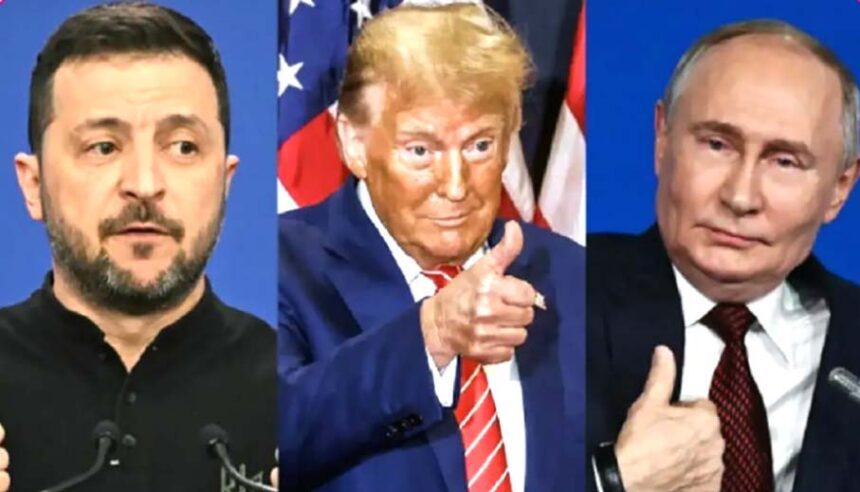 ஞாயிறு மலர்