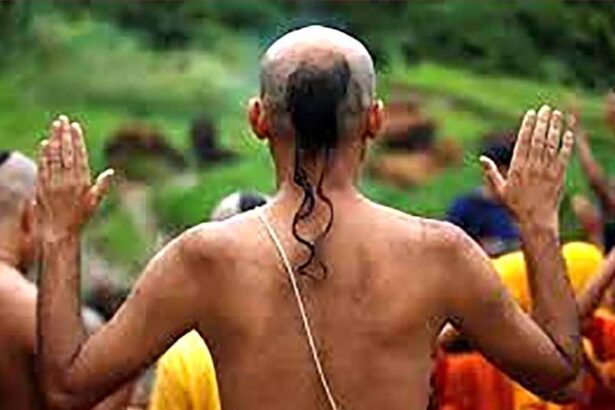ஞாயிறு மலர்
