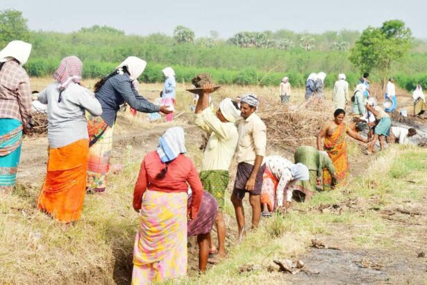 தமிழ்நாடு