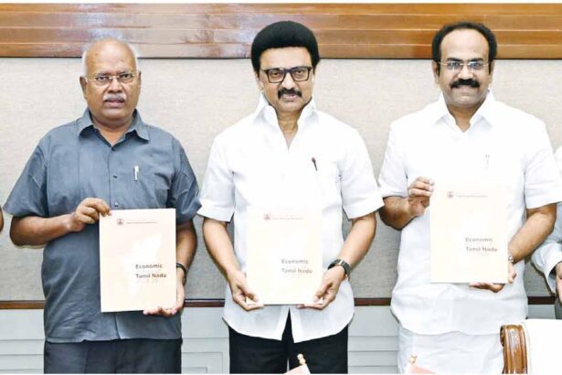 தனி நபர் வருமானத்தில் முத்திரை பதிக்கிறது தேசிய வளர்ச்சியைவிட தமிழ்நாட்டின் வளர்ச்சி அதிகம் பொருளாதார ஆய்வறிக்கையில் தகவல் தமிழ்நாடு