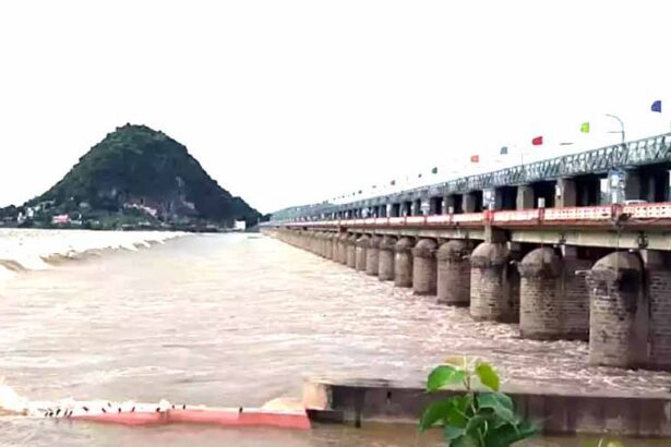 கிருஷ்ணா நதிநீரை திறந்துவிட ஆந்திர அரசுக்கு, தமிழ்நாடு அதிகாரிகள் கடிதம் தமிழ்நாடு