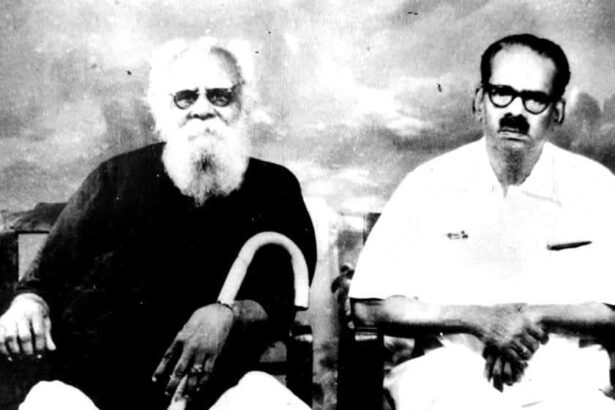 கட்டுரை, ஞாயிறு மலர்