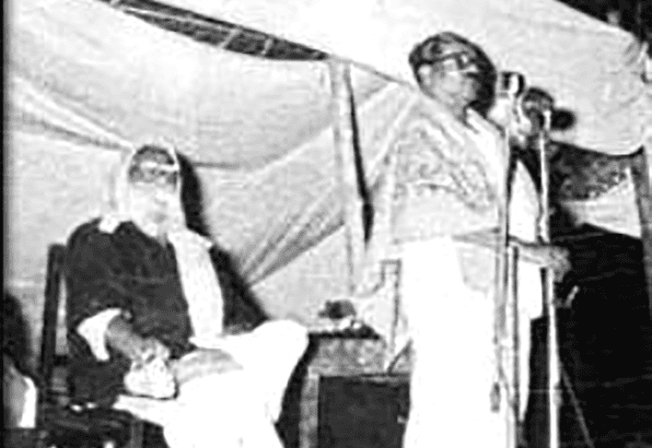 கட்டுரை, ஞாயிறு மலர்